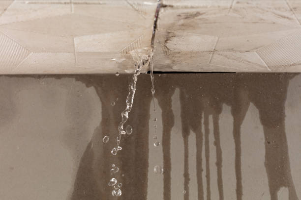 Professional Water Damage Repair technician working in Rice, TX